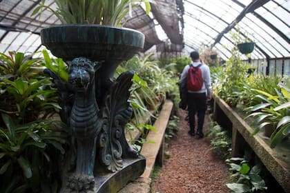 En el recorrido por los distintos caminos e invernaderos se alternan distintas obras de arte, entre esculturas, bustos y monumentos.