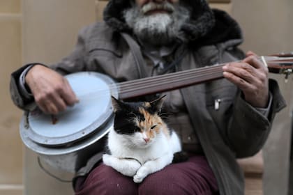 En el regazo de un cantante callejero