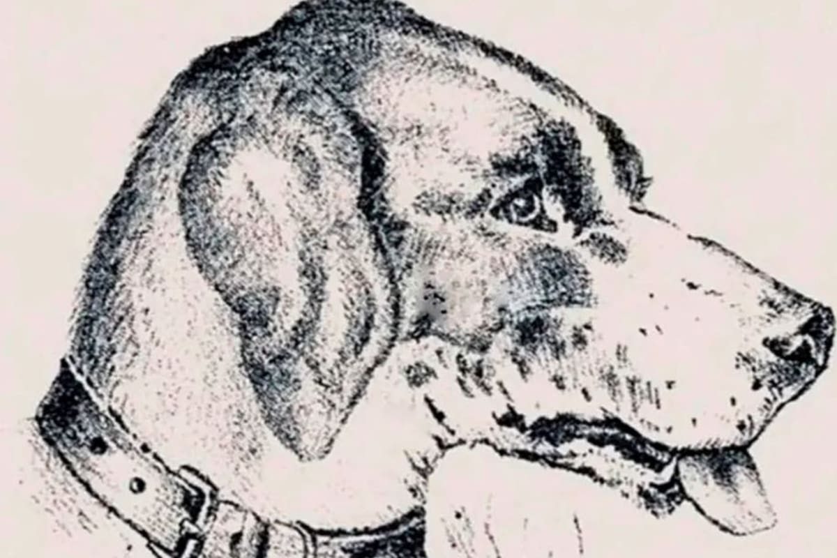 En el reto visual se deberá encontrar el rostro de un hombre antes de los 10 segundos