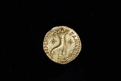 En el reverso la moneda tiene una cornucopia, dos estrellas y la inscripción griega “De la reina Berenice"