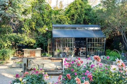 En el sector de la huerta Paquita tiene un invernáculo de chapa con una puerta corrediza que permite la buena ventilación. También es su sector de ventas de productos de jardinería y semillas.