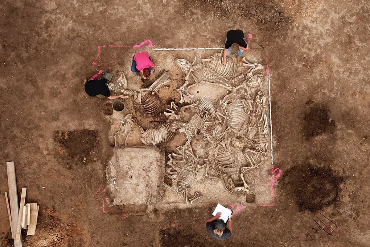 En el sitio se halló un harén de seis mujeres colocadas de una especial forma