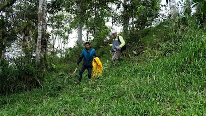 En el suelo fértil del valle se cultivaba maíz, frijol, yuca y batata hace miles de años