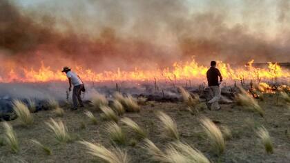En La Pampa, Río Negro y Buenos Aires el fuego arrasó 1.400.000 hectáreas