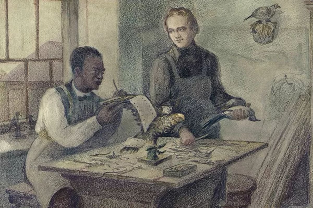 "En el taller de un taxidermista" (John Edmonstone y Charles Darwin preparando pájaros). Artista: Viktor Yevstafiev