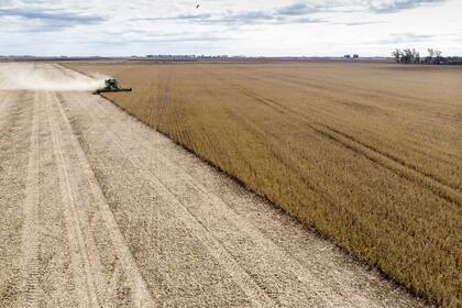 En el tradicional Congreso de Aapresid, que se hizo virtual por la pandemia, se trazaron estrategias para potenciar la sostenibilidad de los sistemas productivos