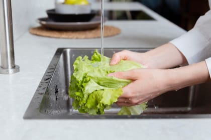 En el tronco de la lechuga se esconden nutrientes clave