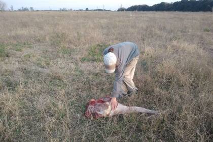 En el último caso, la productora siguió los rastros que dejaron los delincuentes