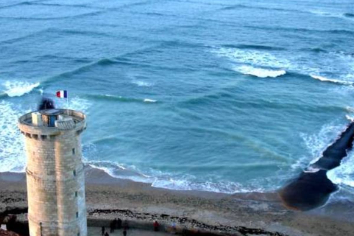 En el último tiempo, este fenómeno ha sido muy reportado en las costas de la isla de Ré