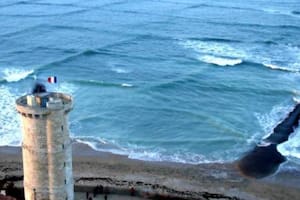 En el último tiempo, este fenómeno ha sido muy reportado en las costas de la isla de Ré