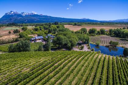 En el valle de Trevelin, Chubut, Viñas de Nant y Fall integra paisajes y producción