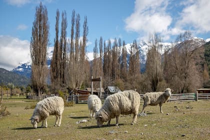 En el valle del Río Manso es posible hacer turismo rural.