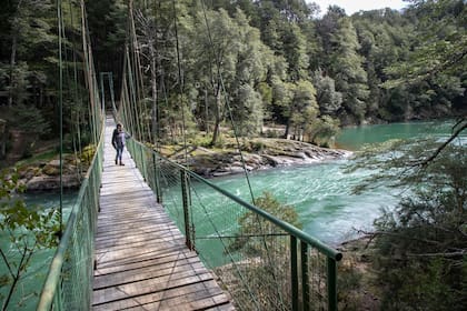 En el valle del Río Manso hay numerosos senderos para hacer trekking.