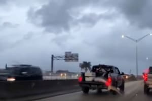 En el video se puede ver a un enorme tiburón saliendo de la caja de una camioneta