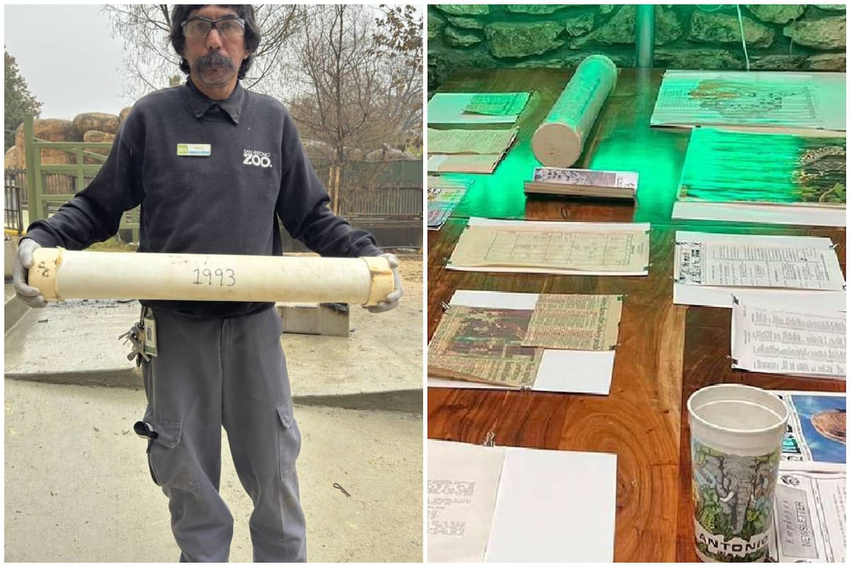 En el zoológico de San Antonio, los trabajadores desenterraron una cápsula del tiempo