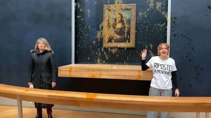 En enero de 2024, el cuadro de Da Vinci fue atacado por un grupo de ecologistas, que le tiraron sopa; el vidrio protector impidió que la pintura sufriera daños