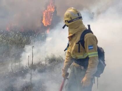 En enero de este año un incendio afectó el Parque Nacional Ciervo de los Pantanos.