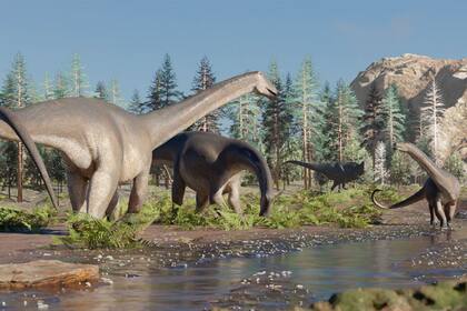 En enero hallaron en Neuquén los restos de un dinosaurio herbívoro extinto hace 90 millones de años