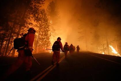 En enero, Oregón había enviado 300 bomberos y 75 autobombas a Los Ángeles para apoyar las tareas de contención de los incendios de California