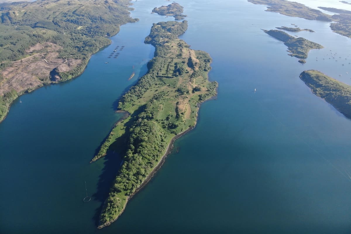 Isla en venta: Incluye 100 ovejas y cabras como parte del paquete 1 Isla en venta: Incluye 100 ovejas y cabras como parte del paquete