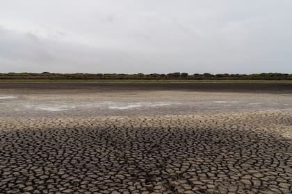En España, la frecuencia de sequías repentinas es mayor en el norte y noroeste, es decir, en la España húmeda