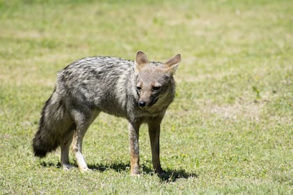 En esta época del año se mantienen las altas temperaturas del verano