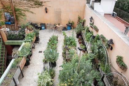 En esta época se siembran las variedades que se cultivarán en la huerta durante el otoño