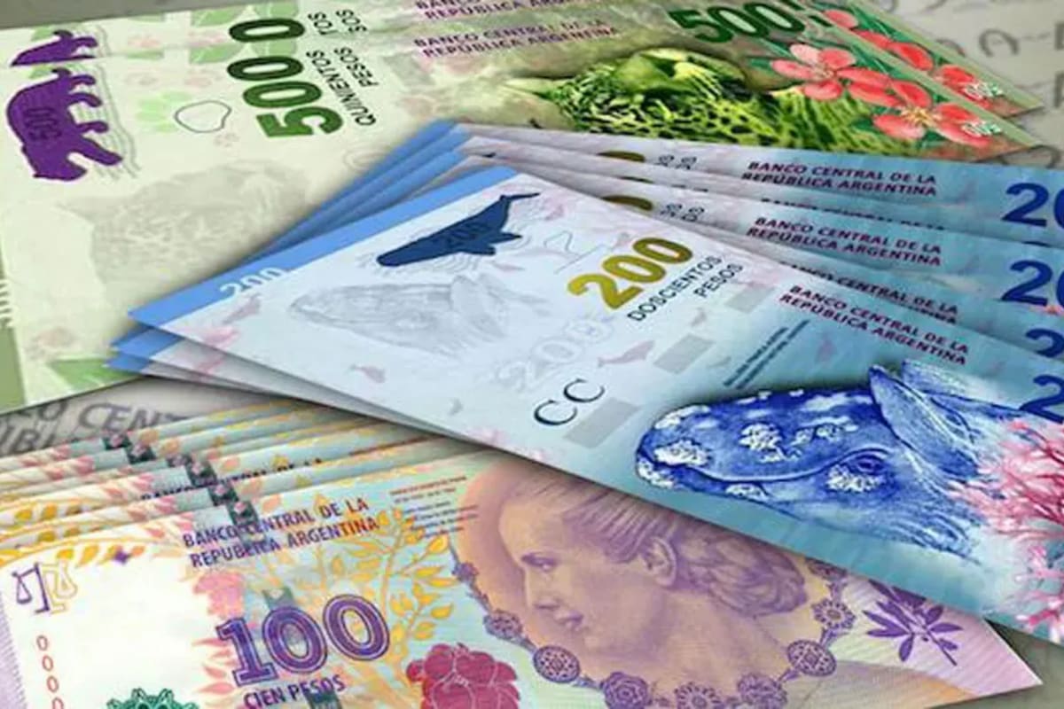 En esta fecha comienza el calendario de pagos de Anses con el cobro de la Pensiones no Contributivas