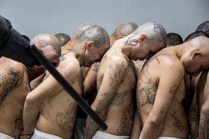 En esta foto difundida por la oficina de prensa presidencial de El Salvador reclusos en una cárcel