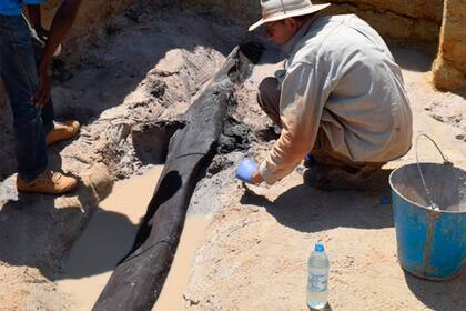 En esta foto proporcionada por los investigadores, un equipo de excavación descubre una estructura de madera en el lecho de un río cerca de una cascada en Zambia en 2019. Según un estudio publicado el miércoles 19 de septiembre de 2023 en la revista Nature, con casi medio millón de años de antigüedad, el par de troncos entrecruzados puede ser la evidencia más antigua de que los primeros humanos construían con madera. (Larry Barham/University of Liverpool via AP)