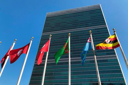 En esta imagen de archivo, las banderas de varios países ondean en el exterior de la sede de Naciones Unidas durante la 74ta sesión de la Asamblea General de la ONU, el 28 de septiembre de 2019. (AP Foto/Jennifer Peltz, archivo)