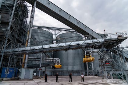En esta imagen de archivo, personal de seguridad, frente a una terminal de almacenamiento de grano en el puerto de Odesa, en Odesa, Ucrania, el 29 de julio de 2022. (AP Foto/David Goldman, archivo)
