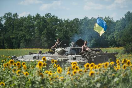 En esta imagen de archivo, soldados ucranianos a bordo de un tanque con la bandera del país, pasan junto a un campo de girasoles en Kryva Luka, en el este de Ucrania, el 5 de julio de 2014. (AP Foto/Evgeniy Maloletka)