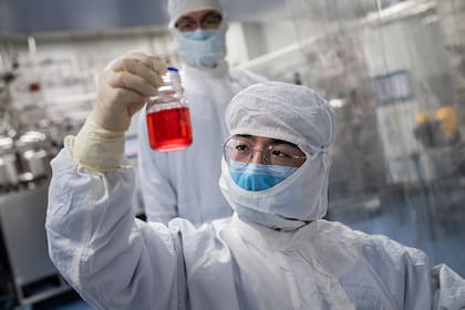 En esta imagen de archivo tomada el 29 de abril de 2020, un ingeniero observa las células de riñón de mono mientras realiza una prueba para una vacuna experimental para el coronavirus en Pekín