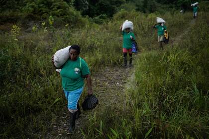 En esta imagen de archivo, un grupo de mujeres de la Asociación Nuestra Casa Común, cargan con sacos de fertilizante para reforestar una zona destrozada por la minería ilegal, cerca de Paimado, Colombia, el 24 de septiembre de 2024. (AP Foto/Iván Valencia, archivo)