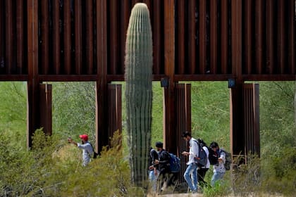 En esta imagen de archivo, un grupo de personas que dice proceder de India cruza las puertas abiertas del muro fronterizo, en el sector de Tucson de la frontera entre Estados Unidos y México, el 29 de agosto de 2023, en el Monumento Nacional Organ Pipe Cactus, cerca de Lukeville, Arizona. (AP Foto/Matt York, archivo)