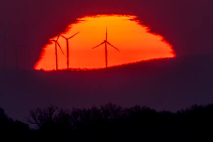 En esta imagen del 11 de marzo de 2022, se ven turbinas eólicas frente al Sol, que sale por el horizonte en Fráncfort, Alemania. (AP Foto/Michael Probst, Archivo)