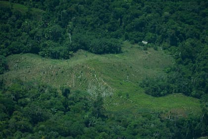En esta imagen difundida por la Organización de Pueblos Indígenas de la Amazonía Oriental, se puede ver una vivienda de un grupo indígena en la región de Loreto de la Amazonía peruana.(ORPIO via AP)