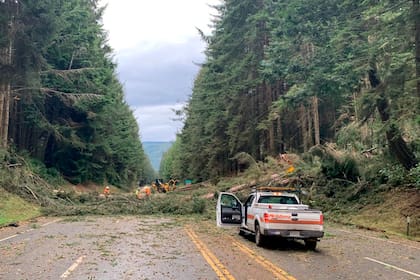 En esta imagen distribuida por Caltrans District 1, equipos retiran múltiples árboles caídos que cortan la autovía 101 en el condado de Humboldt, cerca de Trinidad, California, el 4 de enero de 2023