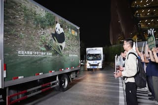 Dos pandas gigantes parten hacia el zoológico de Atlanta desde China tras cumbre Xi-Trump