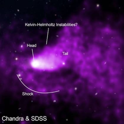 En esta imagen se percibe la cola de gas que deja el grupo de galaxias NGC 4839, que va desde su cabeza (head) hasta su cola (tall)