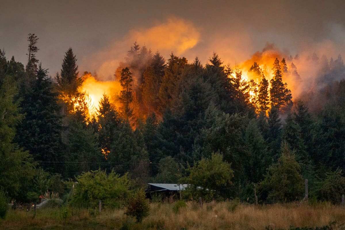 En esta temporada, los incendios forestales arrasaron 31.722 hectáreas en Neuquén, Río Negro y Chubut, una cifra récord