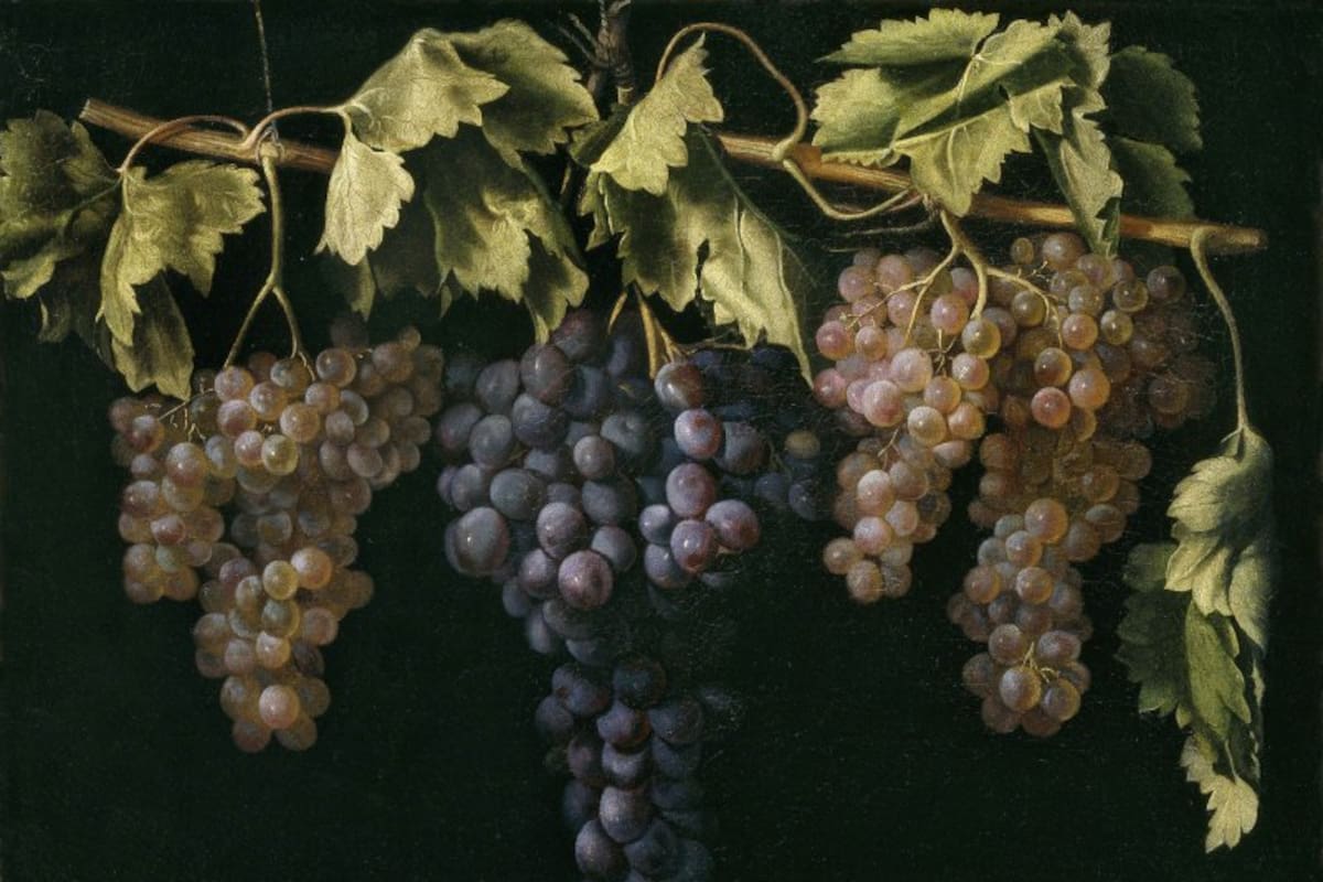 En esta última etapa del año las uvas se vuelven protagonistas en las mesas gracias a la tradición de Año Nuevo que invita a comer 12 uvas al ritmo de las campanadas para atraer buena suerte