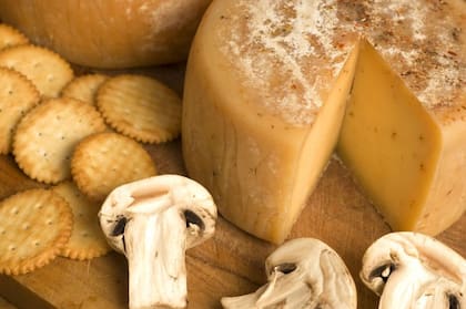 “En esta zona, con 10,5 litros de leche de Jersey se puede producir un kilo de queso versus los 14-15 litros que se necesitan con la leche de Holando”, dicen en la firma
