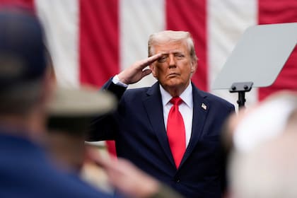 En Estados Unidos residen cerca de 50 millones de personas nacidas en el extranjero, y las investigaciones remarcan que las concentraciones elevadas de población inmigrante no se traducen en mayor criminalidad