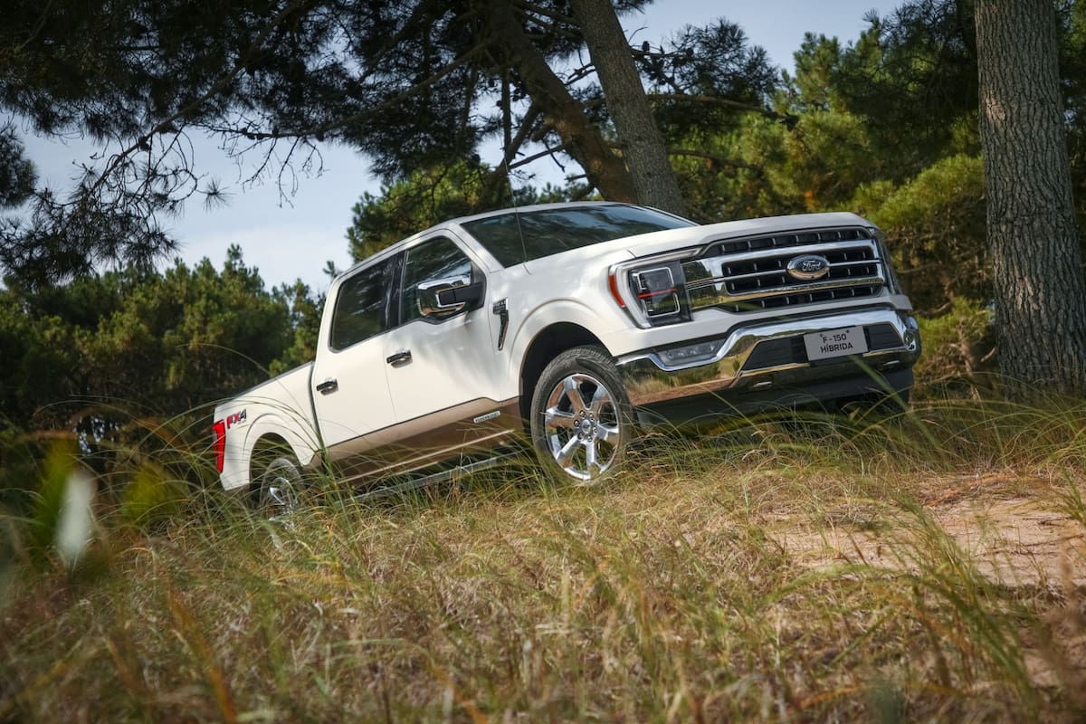 En Estados Unidos, segundo país donde se venden más autos en el mundo detrás de China, la Ford F-150 es el modelo número uno