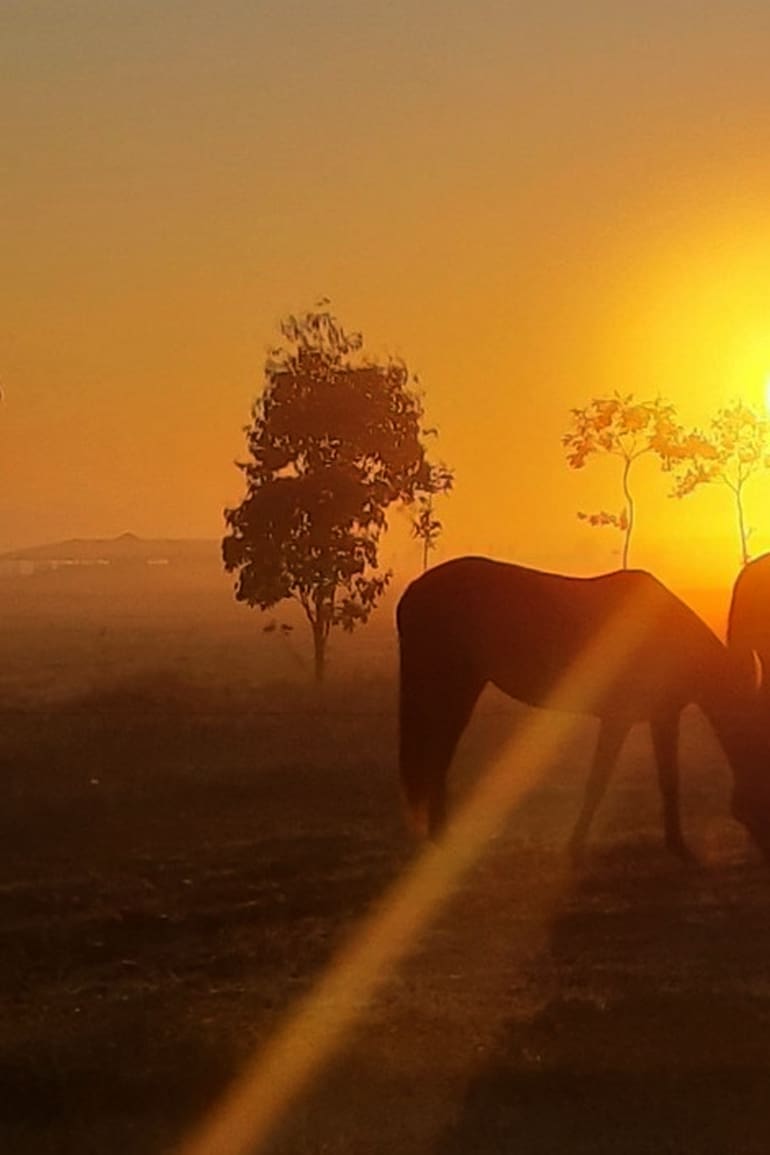 En Estancia Puesto Viejo se pueden visitar las caballerizas del lugar y hacer cabalgatas