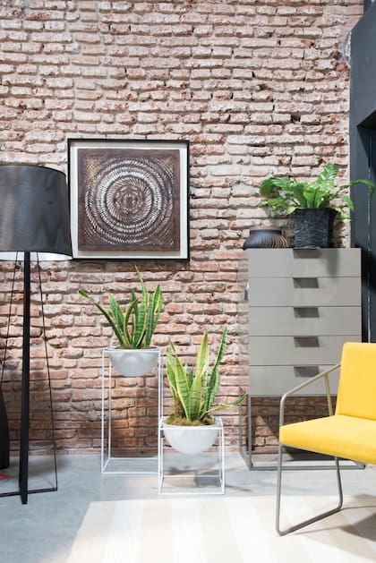 En este espacio de trabajo con aires rústicos y muebles modernos, las sansevieras en macetas blancas dan la nota