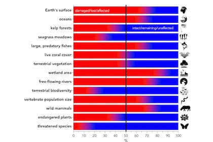 Resumen de las principales categorías de cambios ambientales expresadas como porcentaje en relación con la línea de base dada en el texto