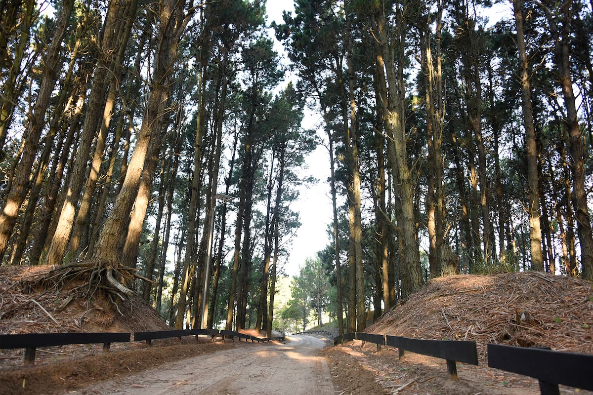 En este lugar de la costa argentina permite comprar lotes financiados en pesos